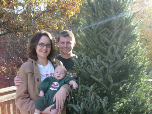 Back at home with our tree