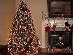 christmas trees 2008 133