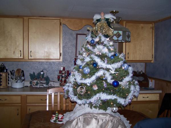 Was not in the mood last year, hubby wanted a real tree, so, this is what he got, lol