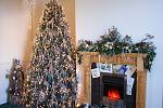 Christmas Tree 2007