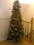 Landing Tree