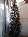 Hallway Tree