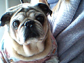 darla watching herself on the screen.