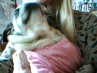 darla giving kisses.