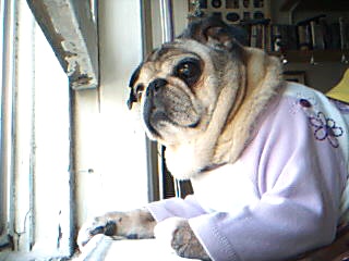 darla being nosey.