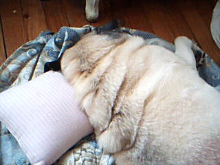 noah sleeping.