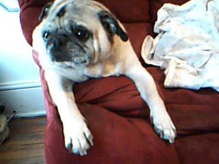 buggy hanging out.