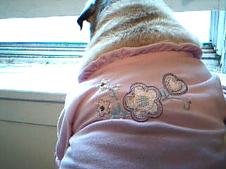 darla at her window.