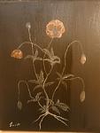 Poppies