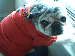 sweet darla.