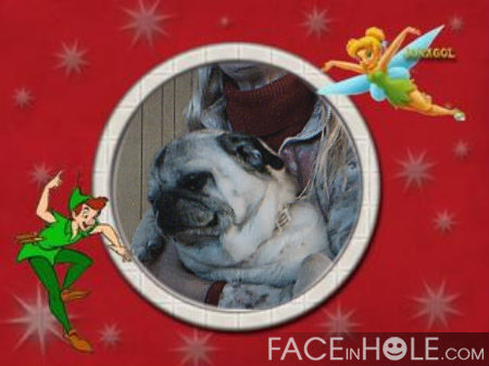 Hi aunt tink it's me buggy.