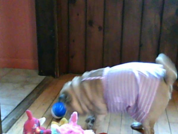 darla in her new dress she's having such fun.