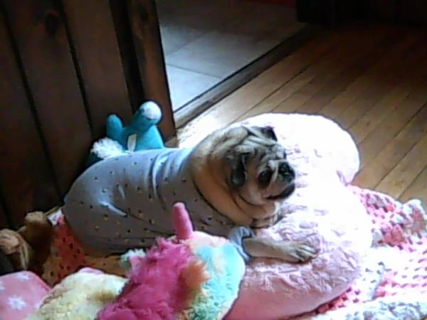 Now miss Darla is yelling as she always has alot to say.