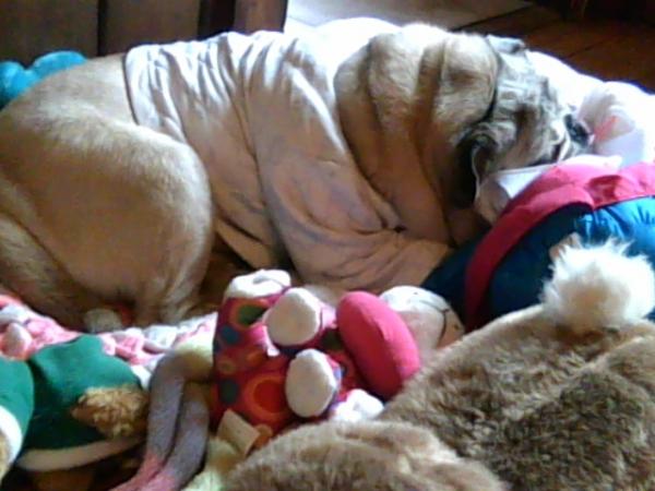 My Darla sleeping with her stuffy.