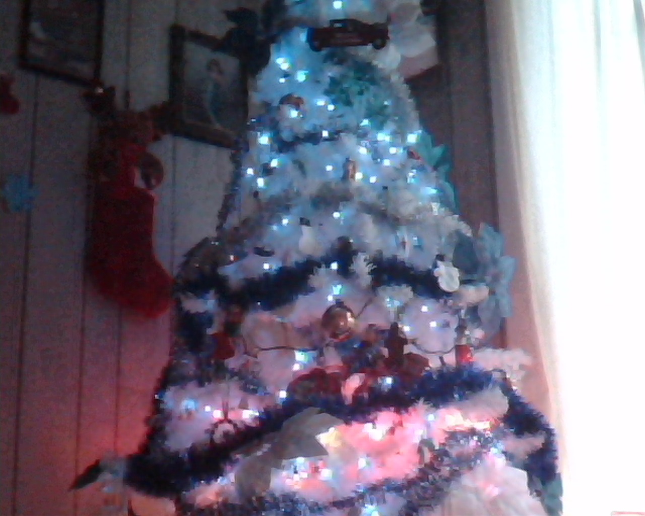 New Tree
