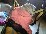 darla in her stroller and buggy as we go out alot now and they enjoy.